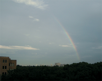 c0069552_9395946.jpg