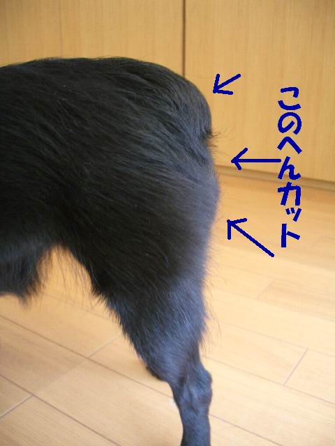 e0002466_213412100.jpg