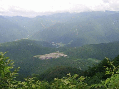 b0016567_22113214.gif