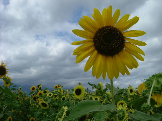 b0055171_21572826.jpg