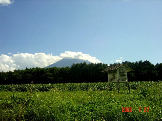 a0005691_1635132.jpg