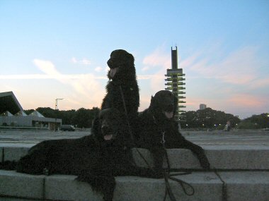 c0050400_20234039.jpg