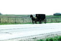 c0062603_7112066.jpg