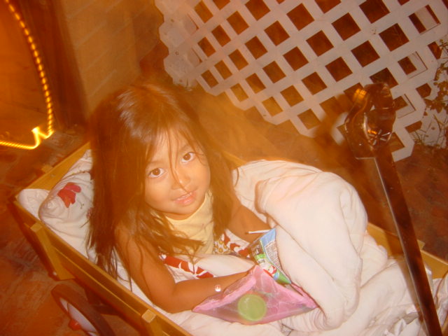 c0048504_15345047.jpg