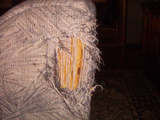 e0018604_125139100.jpg