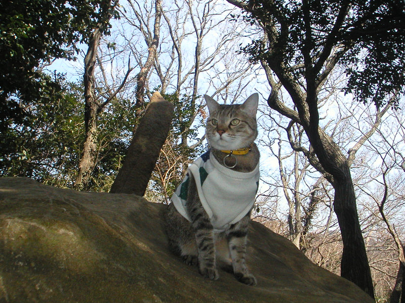 e0031605_20214889.jpg