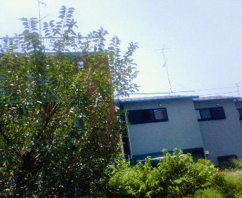 c0026025_2321910.jpg