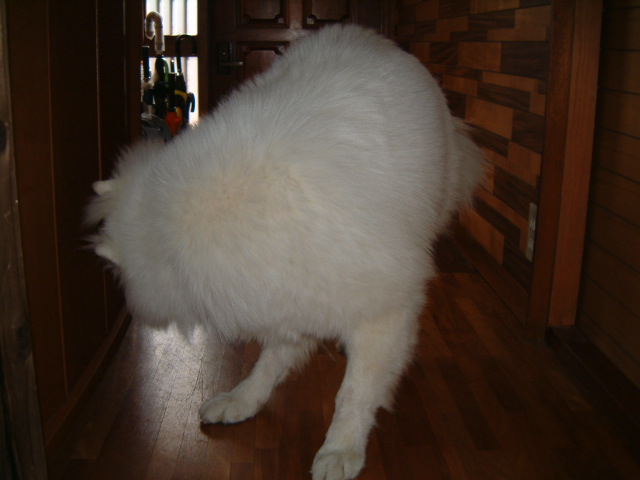 e0024126_11275627.jpg