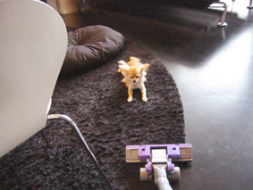 c0052933_16584117.jpg