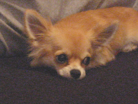 c0052933_17203450.jpg