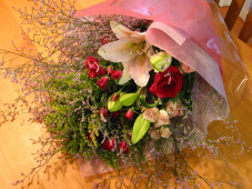 c0069734_16403543.jpg