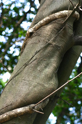b0014157_2125050.jpg