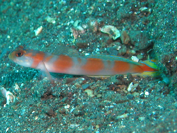 d0034291_23255136.jpg