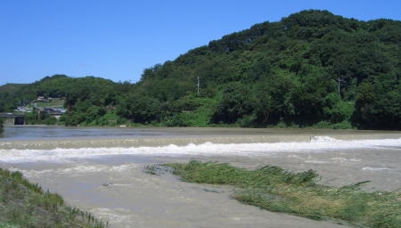 d0000995_1131586.jpg