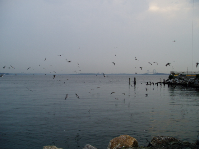 c0037103_12585165.jpg