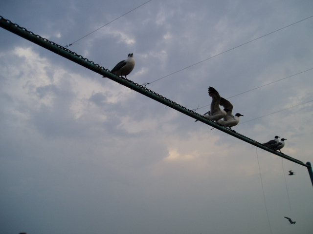 c0037103_1313161.jpg