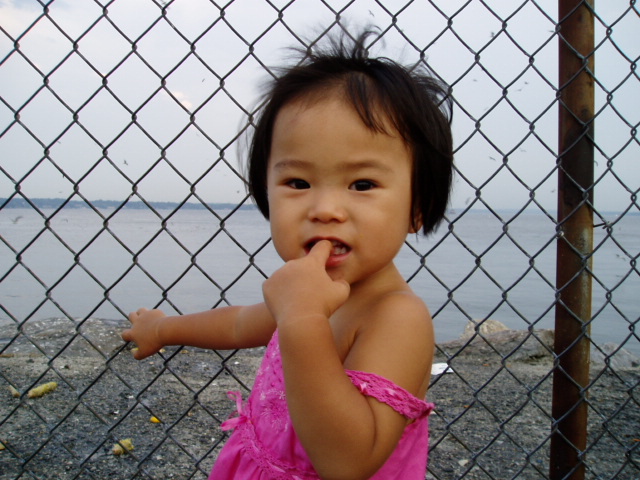 c0037103_1331772.jpg