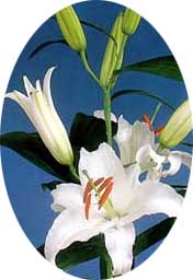 e0018604_1512343.jpg