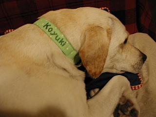 e0006018_22585427.jpg
