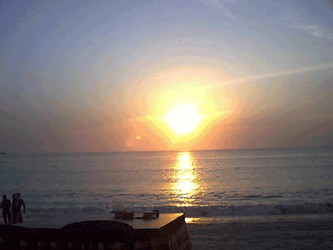 d0038319_915070.gif