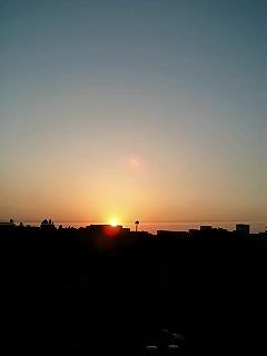 a0035942_11335341.jpg