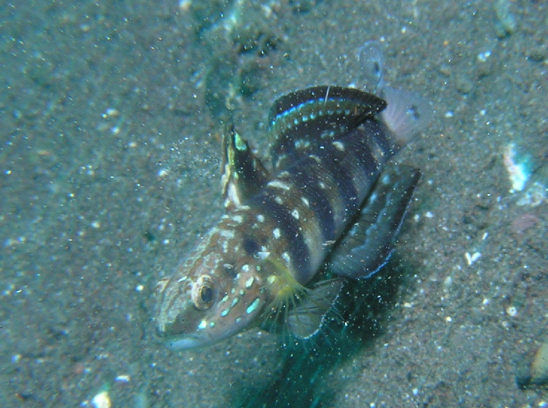 d0034291_23404418.jpg