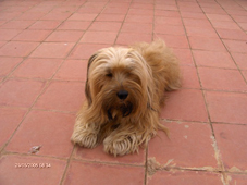 d0037896_191040.jpg