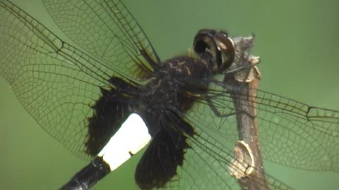 c0047906_2225306.jpg