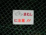 b0042607_2131153.jpg