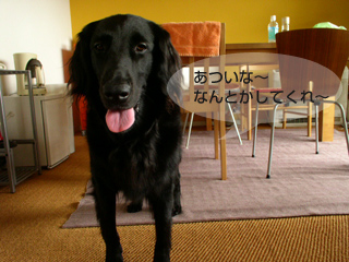 c0012120_22552634.jpg