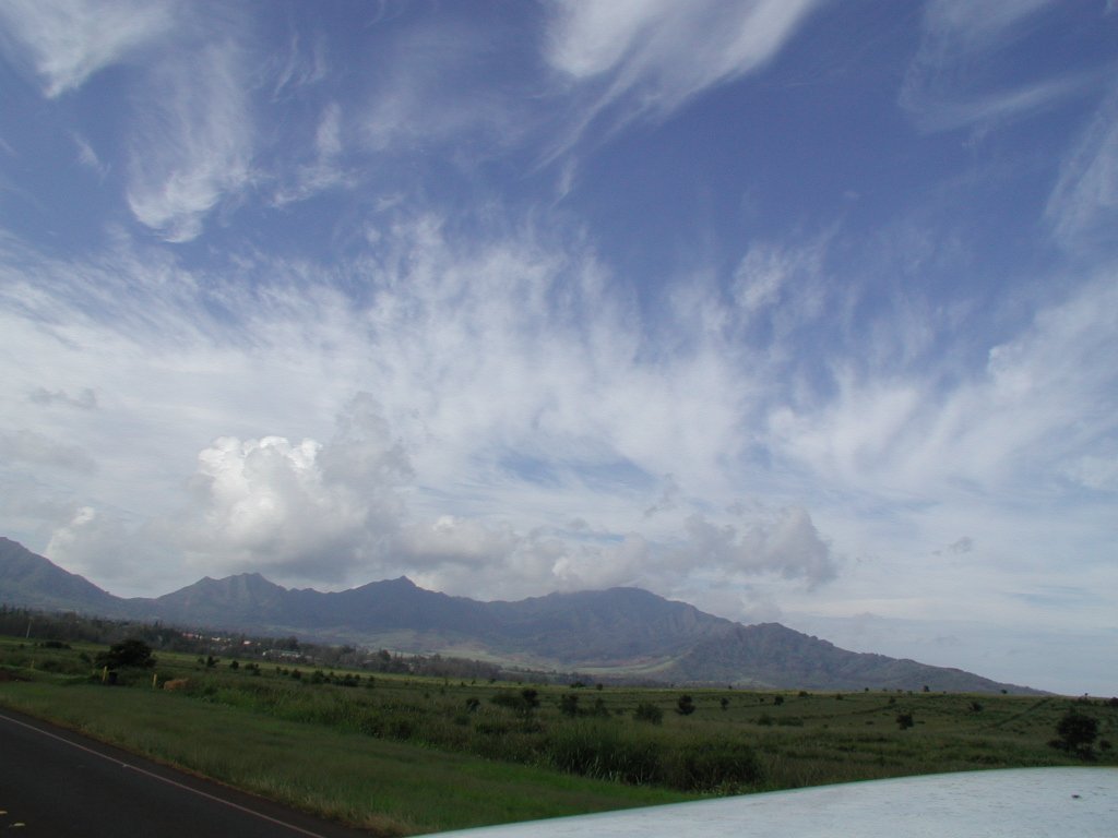 b0016836_1316254.jpg