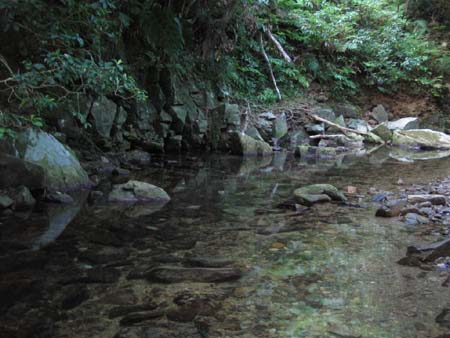 b0049152_2041798.jpg