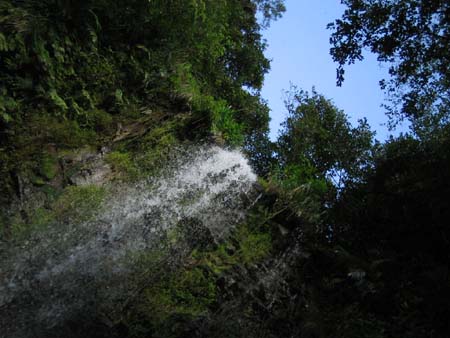 b0049152_2044543.jpg