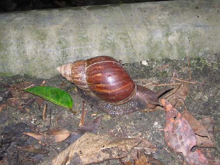b0049152_204510.jpg
