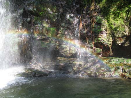 b0049152_2045932.jpg