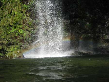 b0049152_2051523.jpg
