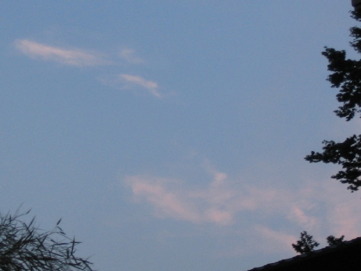 a0031454_23172610.jpg