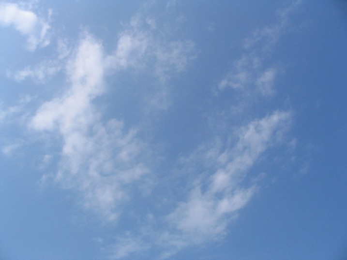 a0031454_233171.jpg