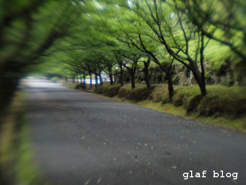 b0056790_7414564.jpg