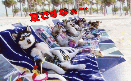 a0019994_21394389.gif