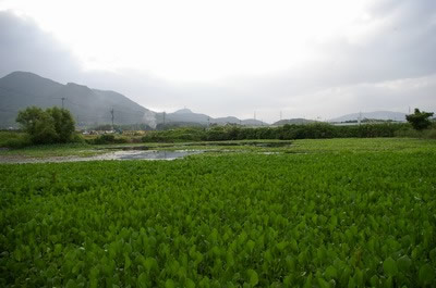 b0052108_21251675.jpg