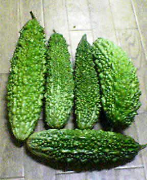 e0019811_1932877.jpg