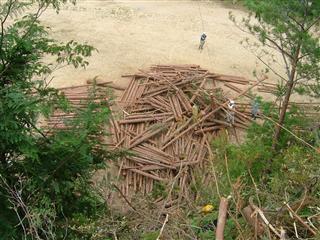 e0002820_2111573.jpg