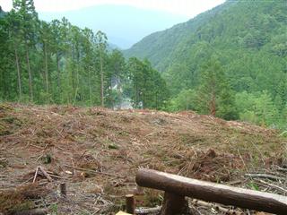 e0002820_2144340.jpg