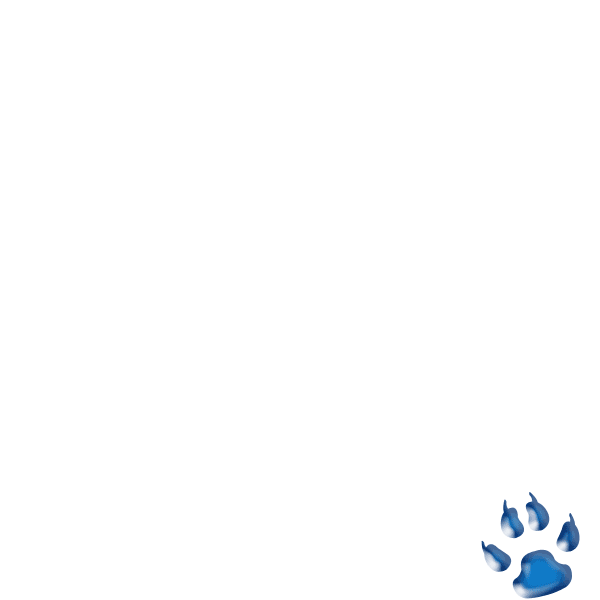 d0029829_1955491.gif