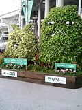 c0018642_10231619.jpg