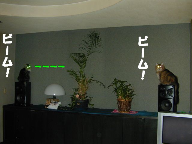 e0005545_13251973.jpg