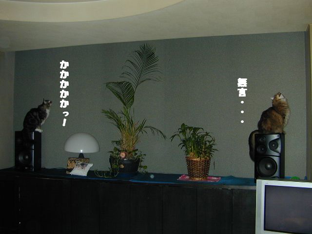 e0005545_1325778.jpg