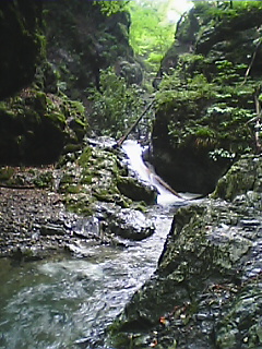 d0010073_21375978.jpg