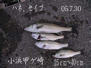 e0023183_1211792.jpg